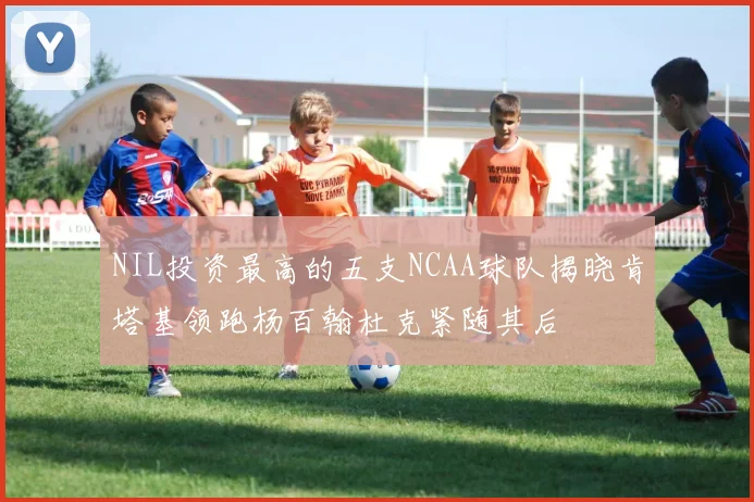 NIL投资最高的五支NCAA球队揭晓肯塔基领跑杨百翰杜克紧随其后